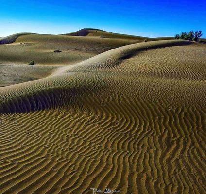 ทะเลทรายฮาลวาน